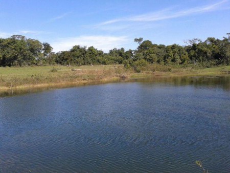 Fazenda em São João do Aporé - Paranaiba/MS. São 328 alqueires.